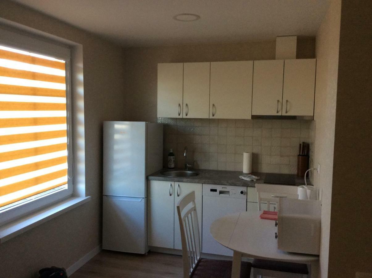 Apartamentai Rusneje , Nemuno 13 Apartment ภายนอก รูปภาพ